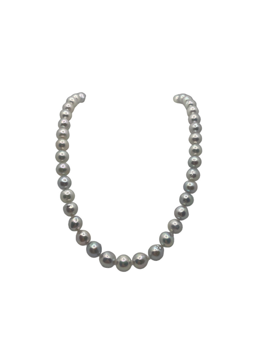 Umi - Unisex Akoya Pearl Necklace with Adjustable Silver Clasp